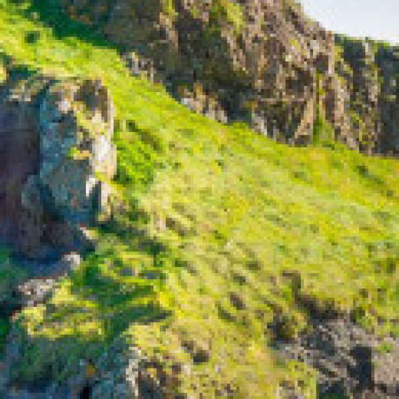 Profile picture of Chamara bandara