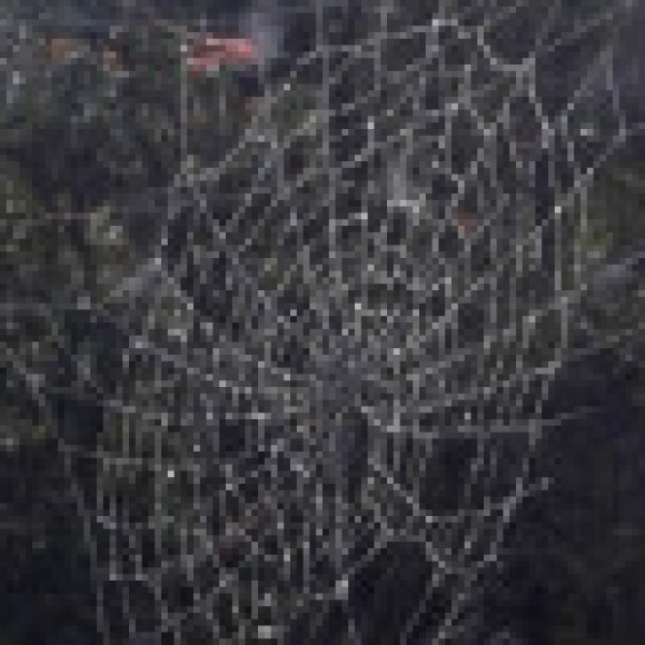 Profile picture of Wasantha sampath