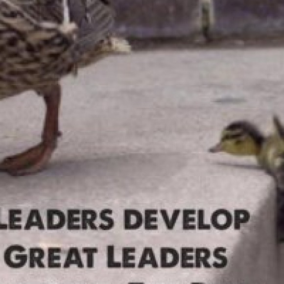 Profile photo of niroshan