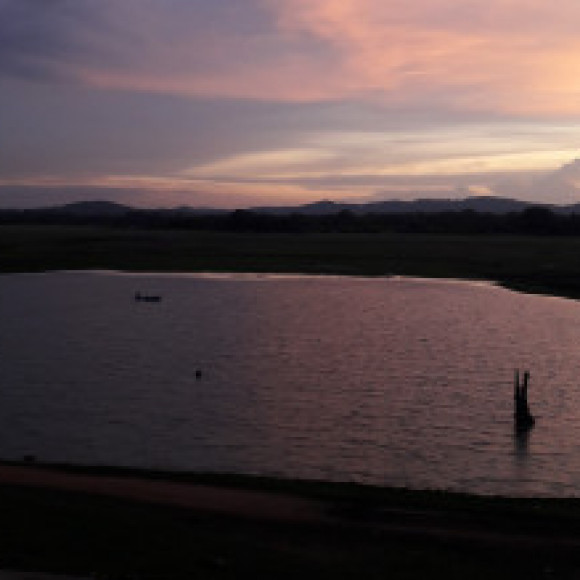 Profile photo of Chami