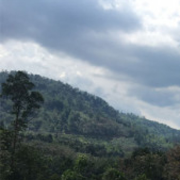 Profile photo of san