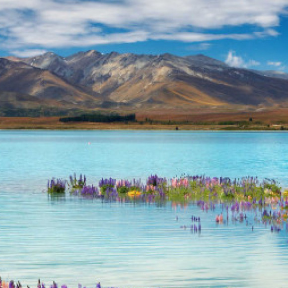 Profile picture of Shan kumara