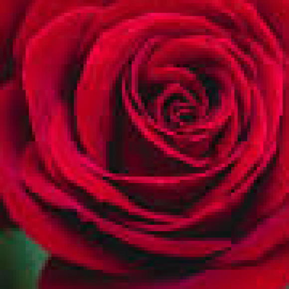 Profile photo of Asanka Nayana