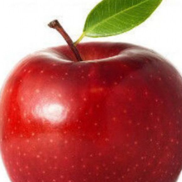 Profile photo of chami