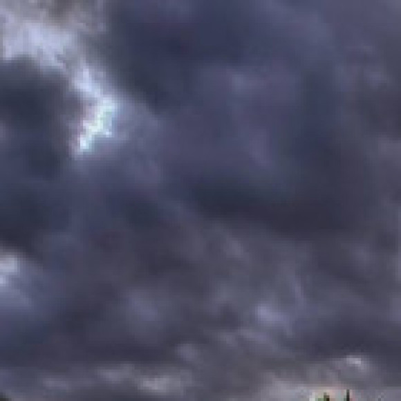 Profile picture of Madu harsha