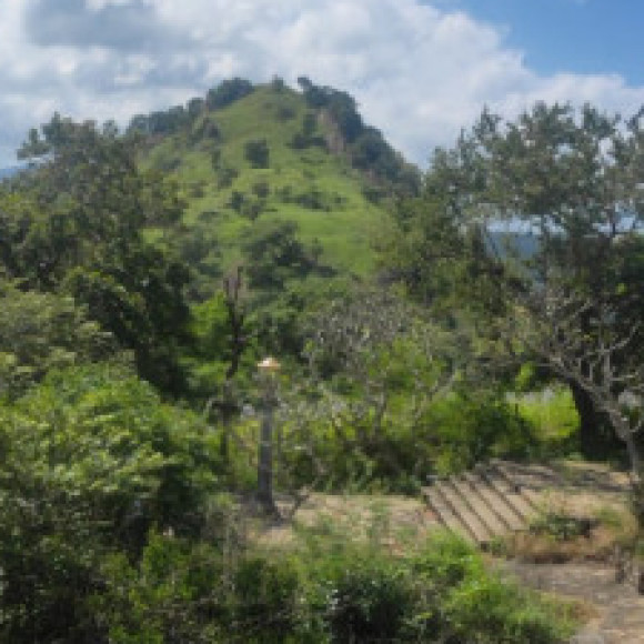 Profile photo of Ruwan