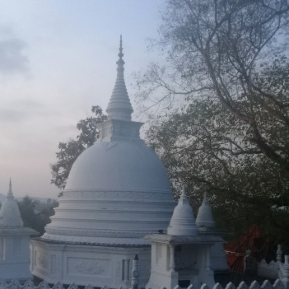 Profile picture of Pradeep Thushara Fernando