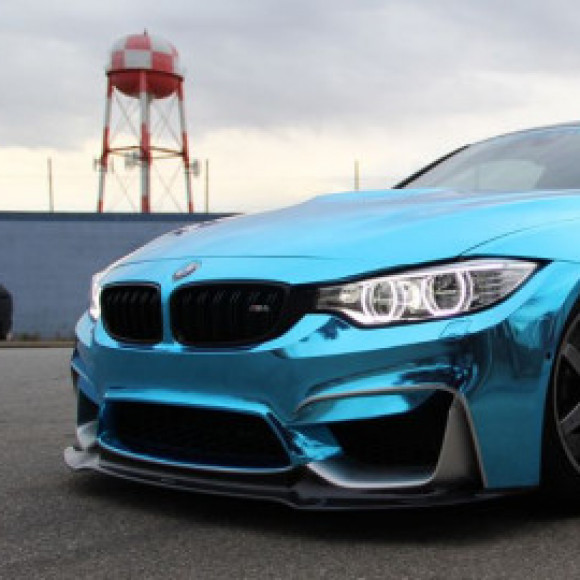 Profile picture of Toby