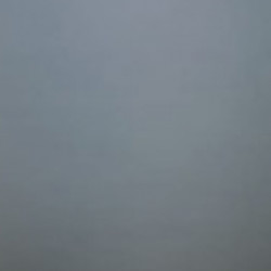 Profile photo of Ava