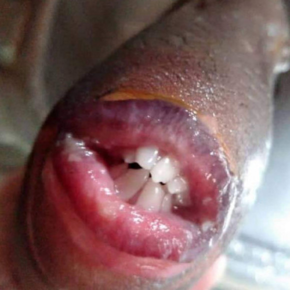 Profile picture of Hirusha Nanayakkara