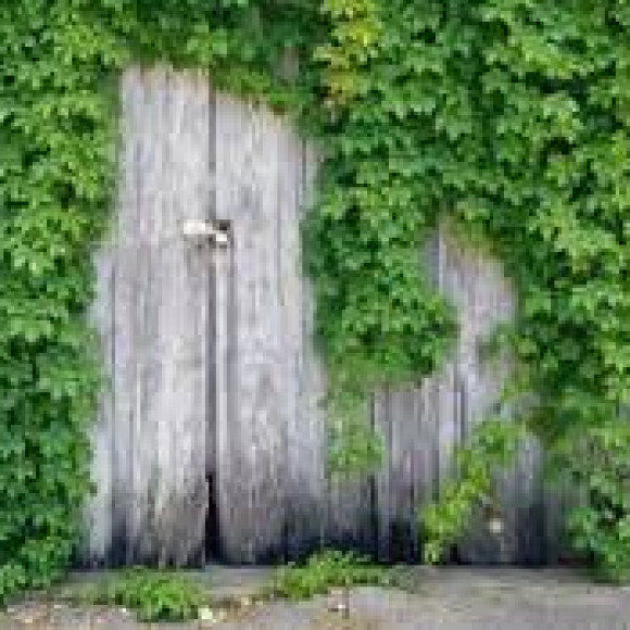 Profile photo of Sandaruwan