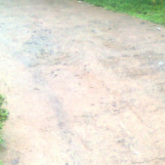 Profile photo of c-Biyagama