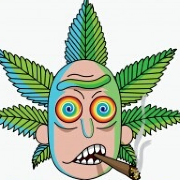 Profile picture of mir