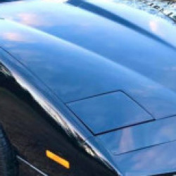 Profile photo of ela