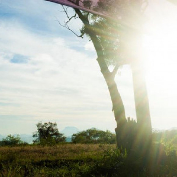 Profile picture of Thilina Sanjeewa