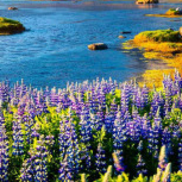 Profile picture of sadun