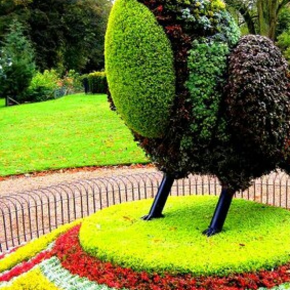 Profile photo of eranda