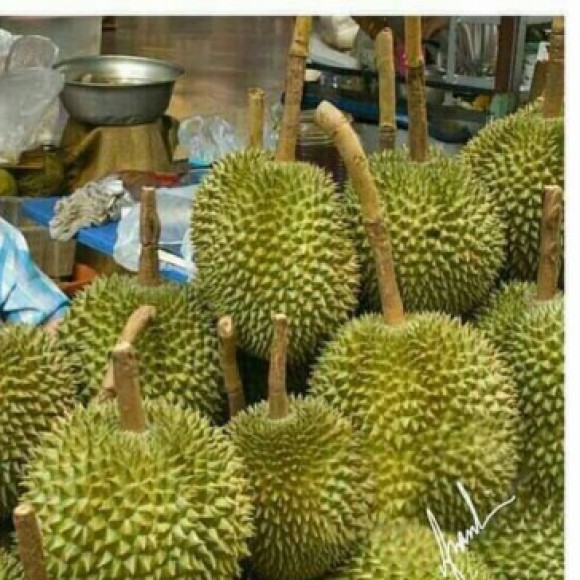 Profile photo of Sahan