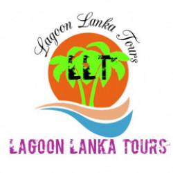 Profile photo of Dave2020