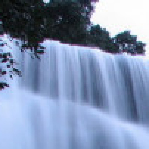 Profile picture of Leo perera