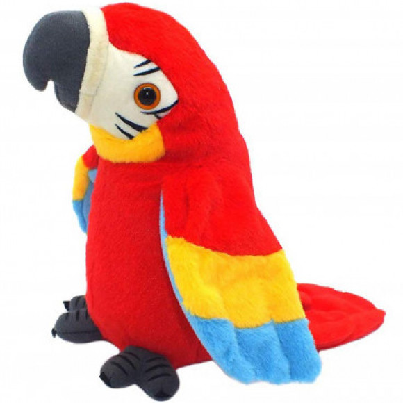 Profile photo of Rudy