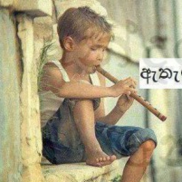 Profile photo of wasantha kumara