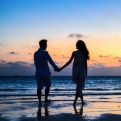 Profile picture of Dilshan Fernando