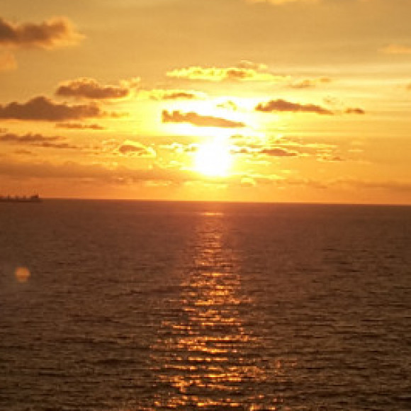 Profile photo of dammika