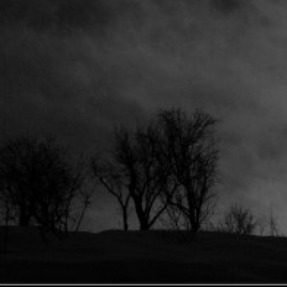 Profile picture of jayamanne