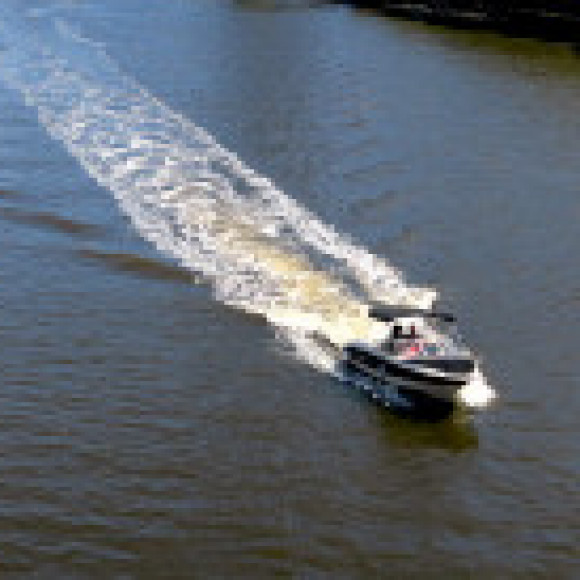 Profile photo of donor