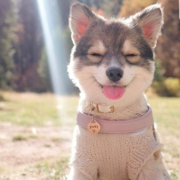 Profile picture of Madhusha