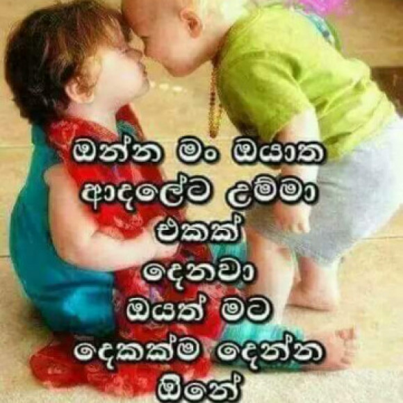 Profile picture of shiran rst