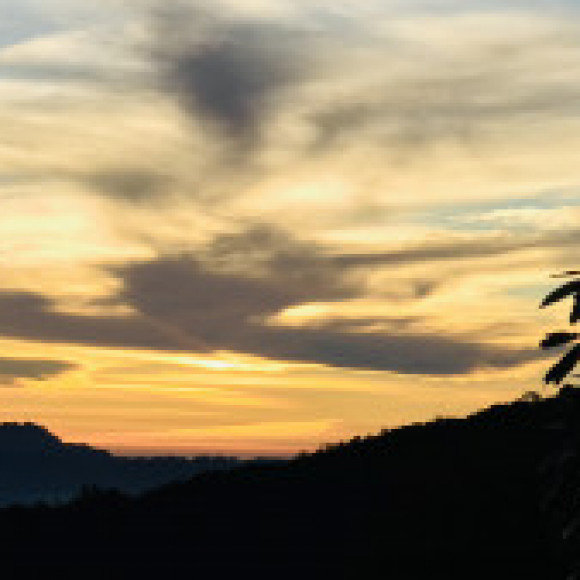 Profile picture of dulaj