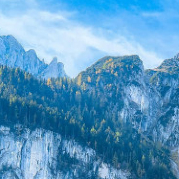 Profile picture of Suduputha