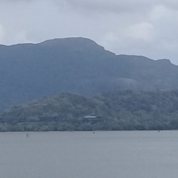 Profile picture of Dan Samuel