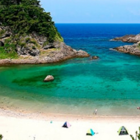 Profile picture of Sana