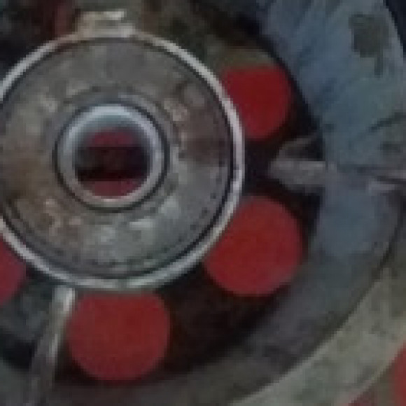 Profile picture of Manoj kumara