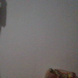 Profile photo of Chamila (male)