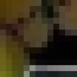 Profile picture of Shashika perera