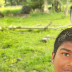 Profile picture of Shanul