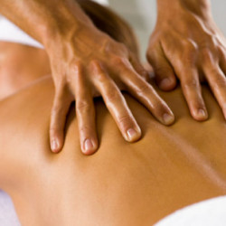 Profile picture of Shan