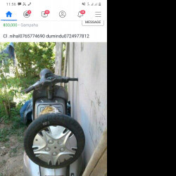 Profile photo of Madusanka