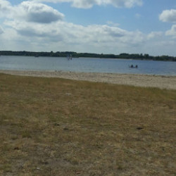 Profile photo of Suduu