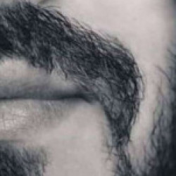 Profile photo of Shasheera