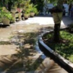 Profile photo of Sanath