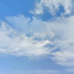 Profile photo of chamara