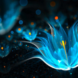 Profile photo of Ashan