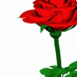 Profile picture of Madushanka