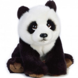 Profile picture of Ruwan