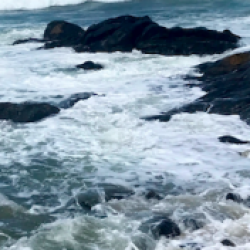 Profile picture of Dilena